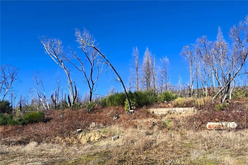 89 Meadow Lane, Berry Creek, California 95916