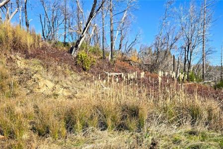 89 Meadow Lane, Berry Creek, California 95916