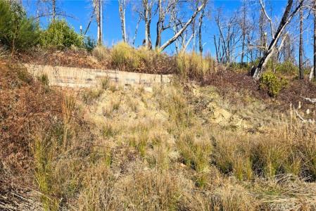 89 Meadow Lane, Berry Creek, California 95916