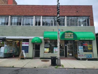 55 MARKET ST UNIT 3B, Poughkeepsie, 紐約州 12601, 美國