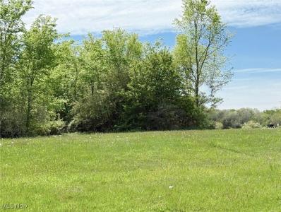 49587 Foxwood Lane Lot 11, East Palestine, Ohio 44413, Estados Unidos