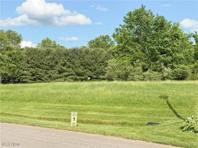 49587 Foxwood Lane Lot 11, East Palestine, Ohio 44413, USA