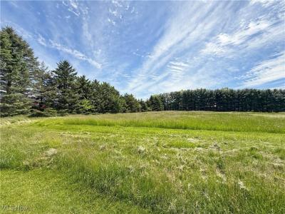 East Palestine, Ohio 44413, USA