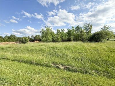 49451 Foxwood Lane Lot 16, East Palestine, Ohio 44413, Estados Unidos