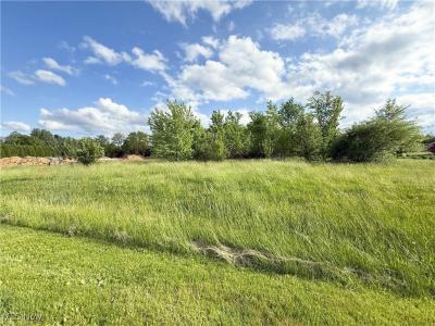 49451 Foxwood Lane Lot 16, East Palestine, Ohio 44413, Estados Unidos