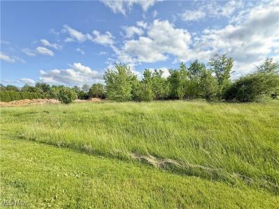 49451 Foxwood Lane Lot 16, East Palestine, Ohio 44413, Estados Unidos
