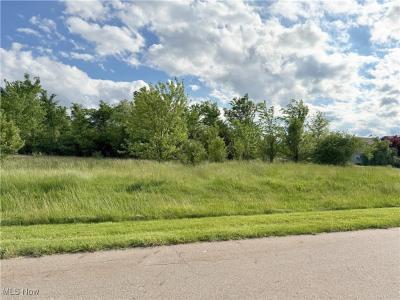 49451 Foxwood Lane Lot 16, East Palestine, Ohio 44413, Estados Unidos