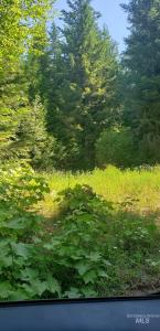 80 E Ridge Dr. (Tract 8), St. Maries, 愛達荷州 83861, 美國