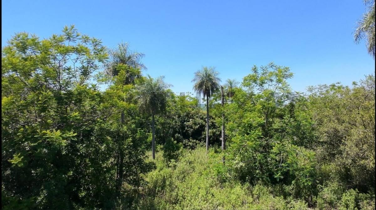 Mcal. Estigarribia , Loma Grande, Cordillera 00001, Le Paraguay