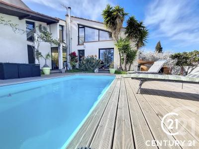 St Cyprien, Languedoc-Roussillon 66750, Francia