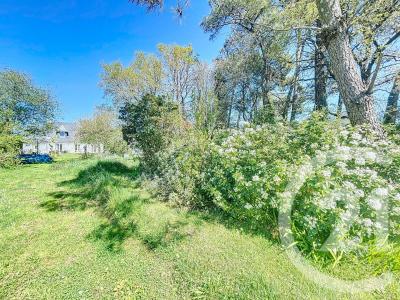 Arradon, Bretagne 56610, Francia