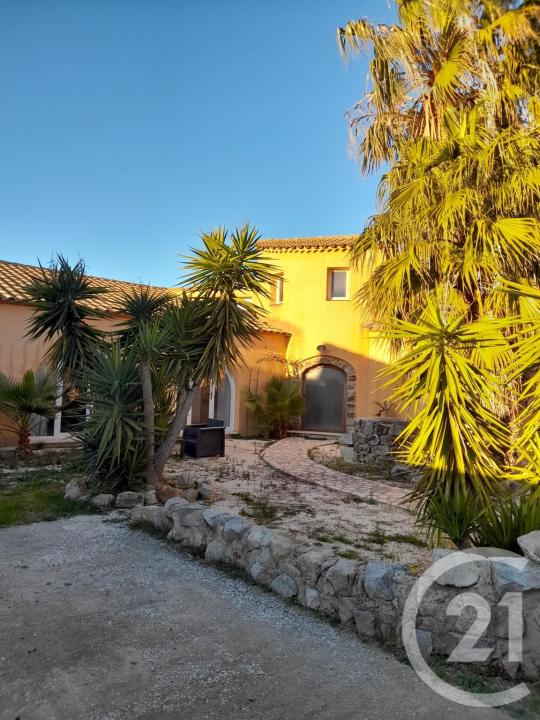 St Cyprien, Languedoc-Roussillon 66750, Fransa