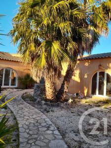 St Cyprien, Languedoc-Roussillon 66750, Fransa