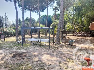 St Cyprien, Languedoc-Roussillon 66750, France