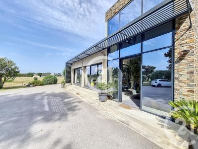 Latour Bas Elne, Languedoc-Roussillon 66200, France