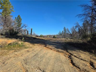 28 Bay Ranch Road, Berry Creek, California 95916