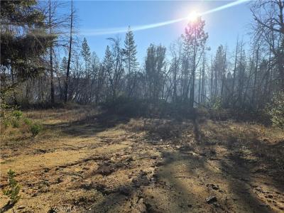 28 Bay Ranch Road, Berry Creek, California 95916