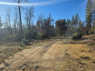 28 Bay Ranch Road, Berry Creek, California 95916