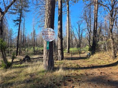 28 Graystone Lane, Berry Creek, California 95916, HOA KỲ