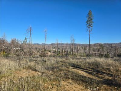 28 Graystone Lane, Berry Creek, California 95916