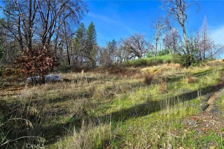 28 Graystone Lane, Berry Creek, California 95916