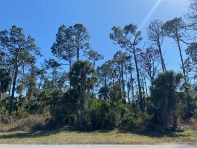 17467 and 17475 Hillsborough Boulevard, Port Charlotte, Florida 33954, USA