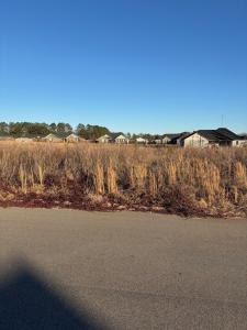 1235 Franfisher Dr, Sumter, South Carolina 29154