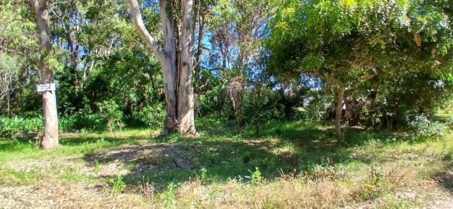 Mapinda esquina Las Camelias 12, Barra Del Chuy, Rocha 00001, Uruguay