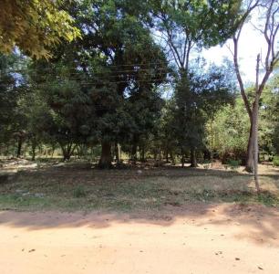 A  100 mts de la avenida Aquidabán, a 800 mts de la Ruta Py 01 , Paraguarí, Paraguarí 00001, Paraguay