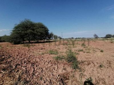 Loma Plata, Boquerón 00001, Le Paraguay