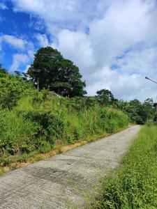 Aldea agua vía la tinta 5, San Cristóbal, Táchira 5001, Venezuela