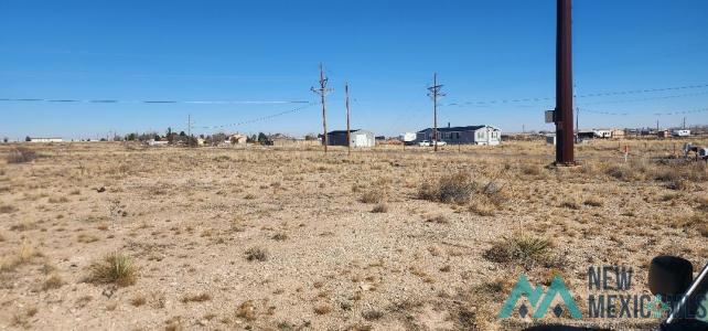 6004 N Atkinson Avenue, Roswell, NM 88201, USA
