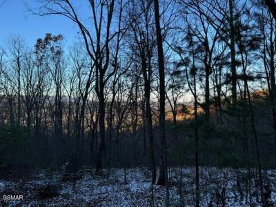 Lot 2 High Ridge Way, Sevierville, Tennessee 37862, Estados Unidos