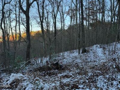 Lot 2 High Ridge Way, Sevierville, Tennessee 37862, Estados Unidos