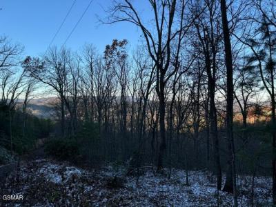 Lot 2 High Ridge Way, Sevierville, Tennessee 37862, Estados Unidos