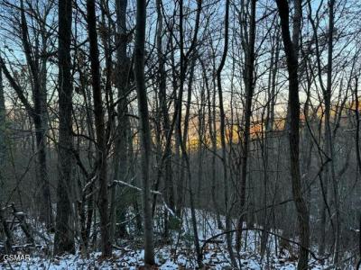 Lot 2 High Ridge Way, Sevierville, Tennessee 37862, Estados Unidos