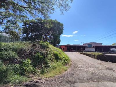 Central-Alajuela Central, Alajuela 00001, Costa Rica