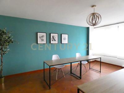 Via Barsanti e Matteucci, Lucca, Toscana 55100, איטליה