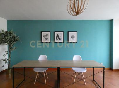 Via Barsanti e Matteucci, Lucca, Toscana 55100, איטליה