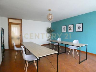 Via Barsanti e Matteucci, Lucca, Toscana 55100, איטליה