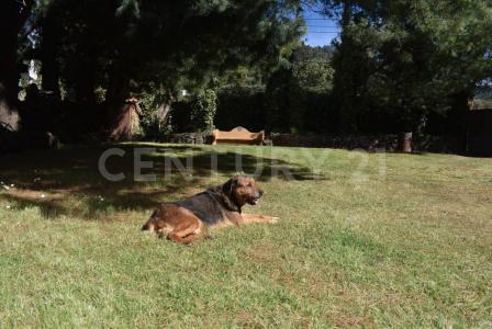 Cañada de los Pinos 44,, Lerma, 墨西哥州 52045, 墨西哥