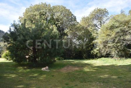 Cañada de los Pinos 44,, Lerma, 墨西哥州 52045, 墨西哥