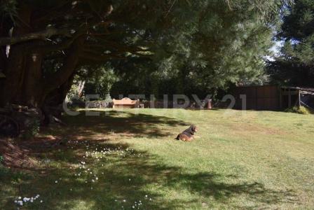 Cañada de los Pinos 44,, Lerma, 墨西哥州 52045, 墨西哥
