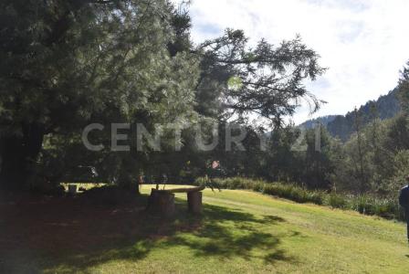 Cañada de los Pinos 44,, Lerma, 墨西哥州 52045, 墨西哥