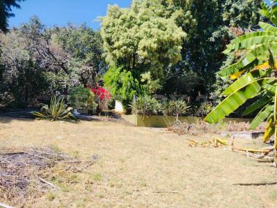 Cuernavaca, Морелос 62300, Мексика