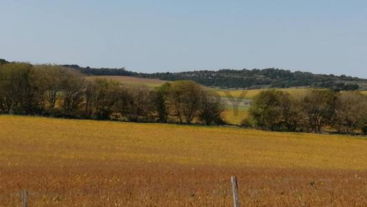 Ciudad de Roma 200, Mar Del Plata, Buenos Aires Costa Atlántica 00001, Argentina