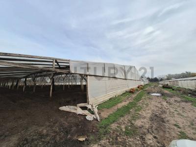 Tetamanti 4800, Mar Del Plata, Buenos Aires Costa Atlántica 00001, Argentina