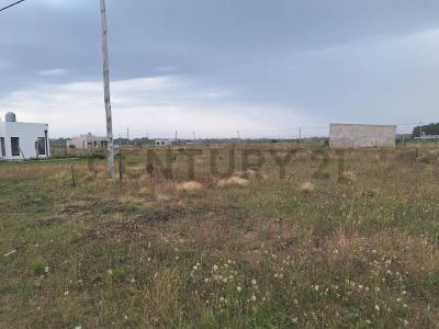 127 0, Necochea, Buenos Aires Costa Atlántica 7630, Argentina