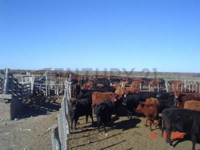 La Pampa, Cordoba 00001, Argentina