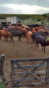 La Pampa, Cordoba 00001, Argentinien